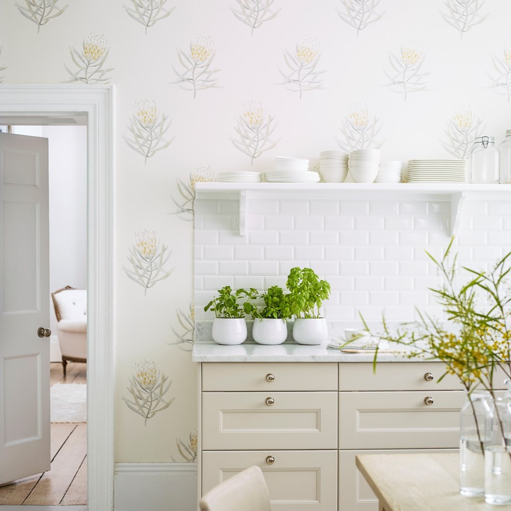 Protea Flower Wallpaper 216328 by Sanderson in Daffodil Natural